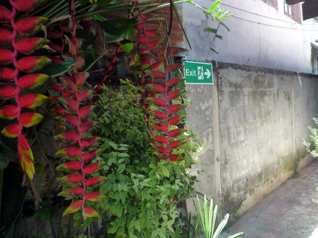 Noom Guesthouse Lop Buri Exteriör bild